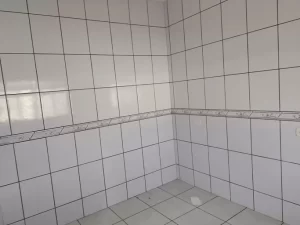 4 - 683 X 512 gem webp